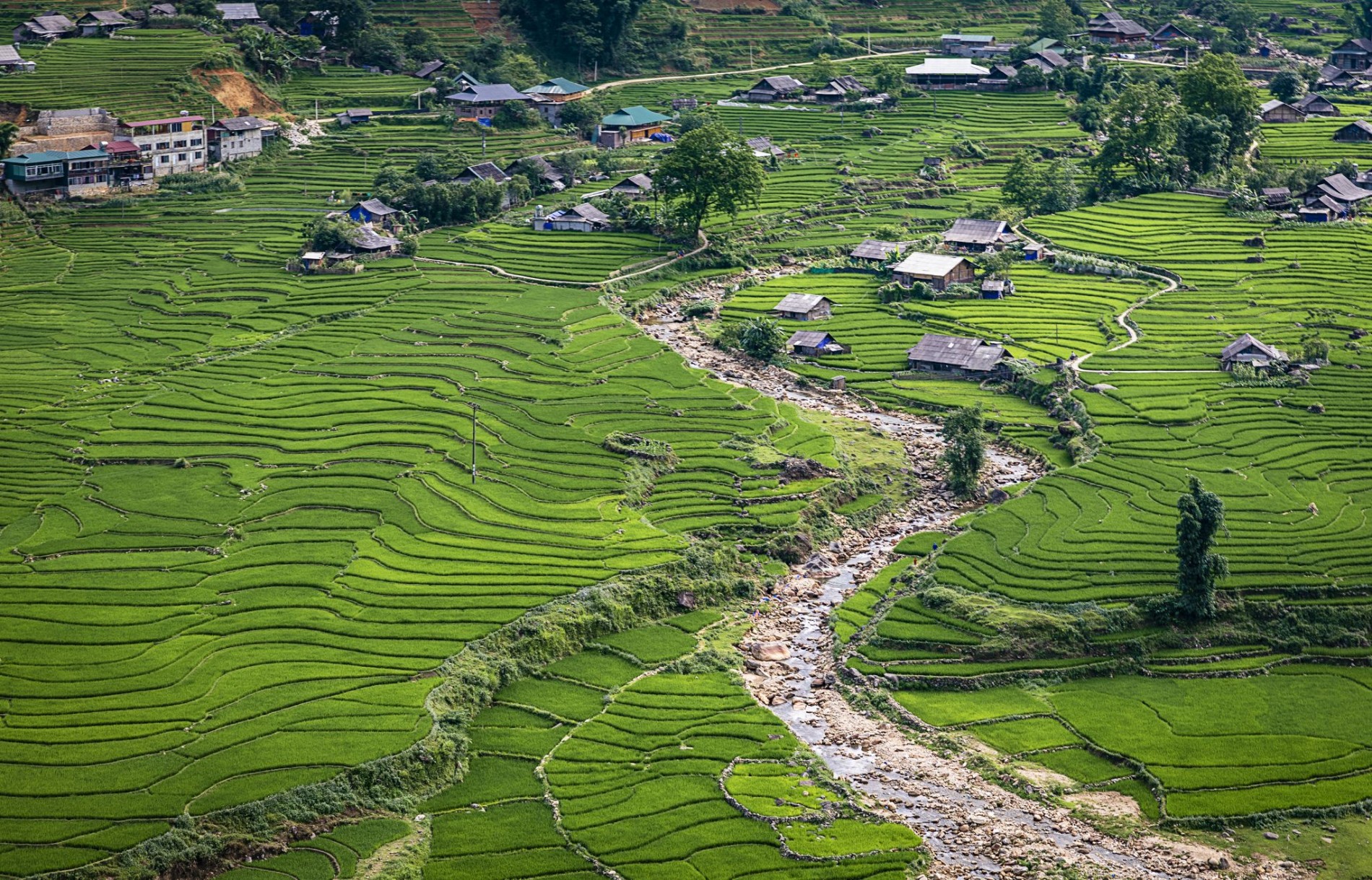 suoi-muong-hoa-sapa-nang-tho-cua-nui-rung-tay-bac-1621330667